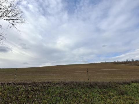 Eladó szántóföld Kaposgyarmaton