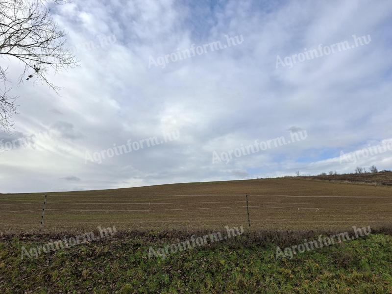 Eladó szántóföld Kaposgyarmaton