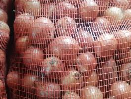 Apró vöröshagyma eladó