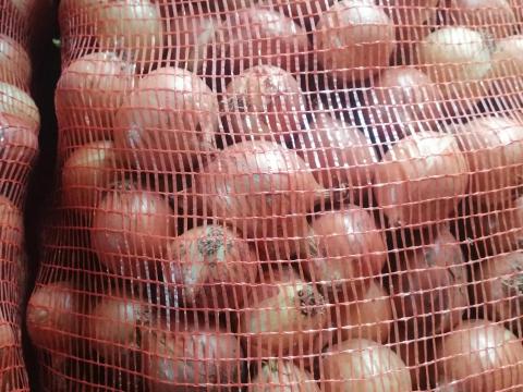 Apró vöröshagyma eladó Apró vöröshagyma eladó