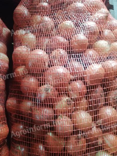 Apró vöröshagyma eladó