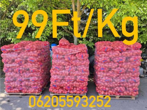 Burgonya extra minőségű