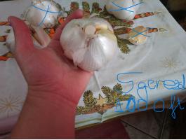 Elefánt fokhagyma eladó