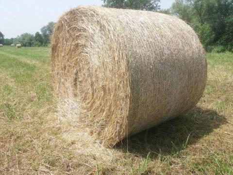 Fűszénabála, réti széna eladó Zala megyében Fűszénabála, réti széna eladó Zala megyében