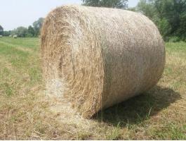 Fűszénabála, réti széna eladó Zala megyében