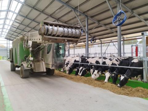 Állattartó telepi munkalehetőségek Pókaszepetken – Szarvasmarha telepi állásajánlatok Állattartó telepi munkalehetőségek Pókaszepetken – Szarvasmarha telepi állásajánlatok