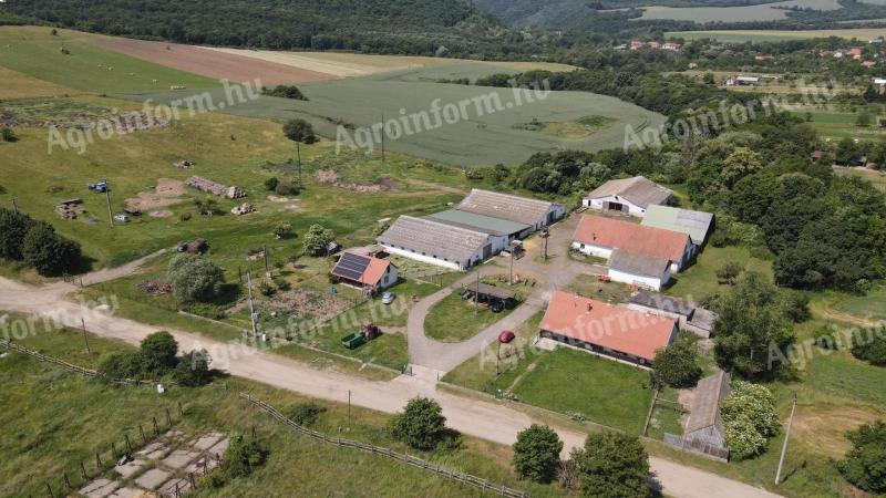 Működő,  teljesen felszerelt FARM eladó Pest vármegyében / 80+ hektár hasznos terület,  azonnal folytatható gazdálkodással