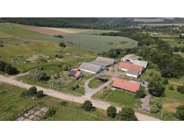 Működő,  teljesen felszerelt FARM eladó Pest vármegyében / 80+ hektár hasznos terület,  azonnal folytatható gazdálkodással