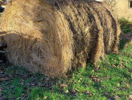 Széna bála eladó vagy cserélhető