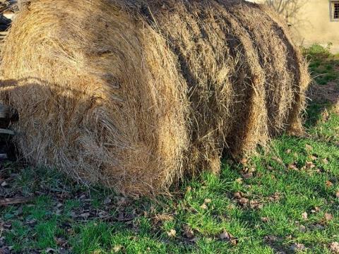 Széna bála eladó vagy cserélhető