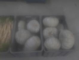 Nagydobosi sütőtök eladó