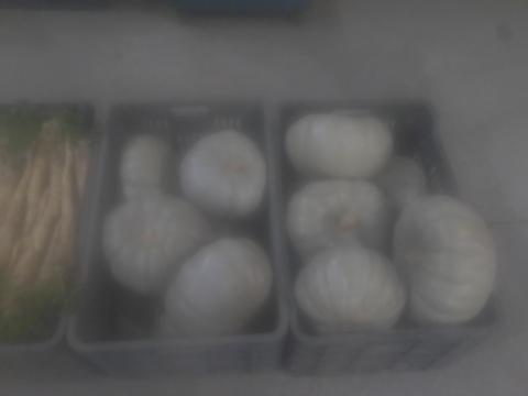 Nagydobosi sütőtök eladó