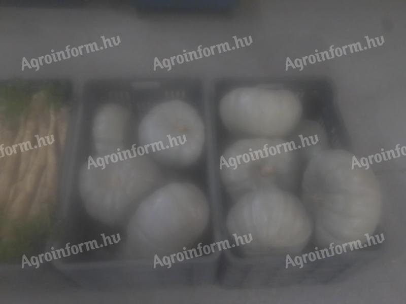 Nagydobosi sütőtök eladó