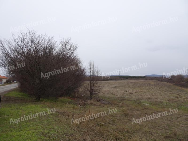 Veszprémben – remek elhelyezkedéssel – eladó belterülettel határos szántó