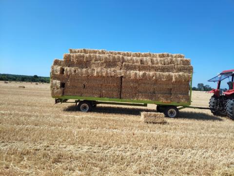 Szalma széna lucerna eladó