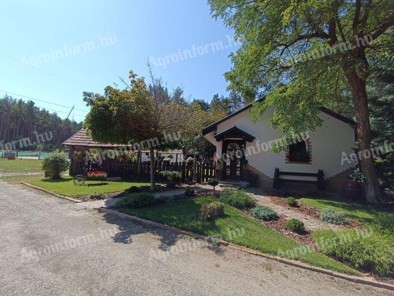 Tanya eladó Felsőpakonyon, Budapesthez közel