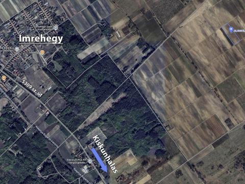 Irsai Olivér szőlőültetvény eladó Imrehegyen