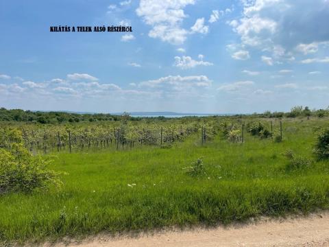 DÖRGICSÉN KOMOLY FEJLESZTÉSI LEHETŐSÉGEKKEL RENDELKEZŐ, TÁJPANORÁMÁS KÜLTERÜLET ELADÓ DÖRGICSÉN KOMOLY FEJLESZTÉSI LEHETŐSÉGEKKEL RENDELKEZŐ, TÁJPANORÁMÁS KÜLTERÜLET ELADÓ