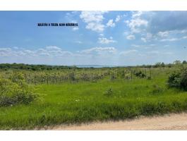 DÖRGICSÉN KOMOLY FEJLESZTÉSI LEHETŐSÉGEKKEL RENDELKEZŐ,  TÁJPANORÁMÁS KÜLTERÜLET ELADÓ