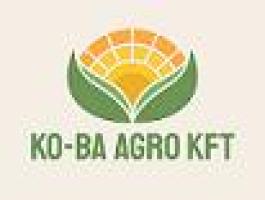 Kukorica vetőmagok 2026. (aktuális 2025.11.20-tól)