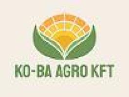 Napraforgó vetőmagok 2026 (hatályos: 2025.11.20-tól)