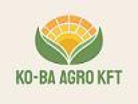 Napraforgó vetőmagok 2026 (hatályos: 2025.11.20-tól)