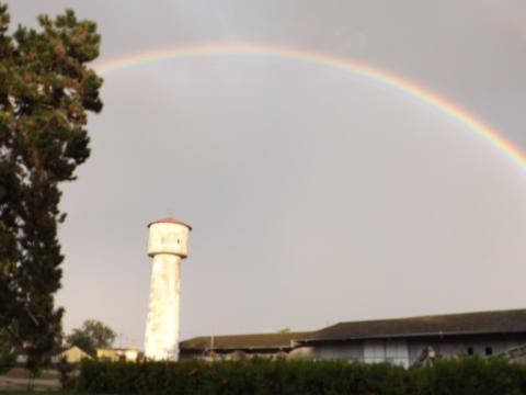 Mezőgazdasági gépszerelőt keresünk téli gépjavítási munkákra – előny a nyugdíjas kor, aktív munkaképes állapot, hagyományos mezőgazdasági géppark javításában szerzett tapasztalat.
