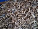 Kisbála eladó – kiváló minőségű szalmabála