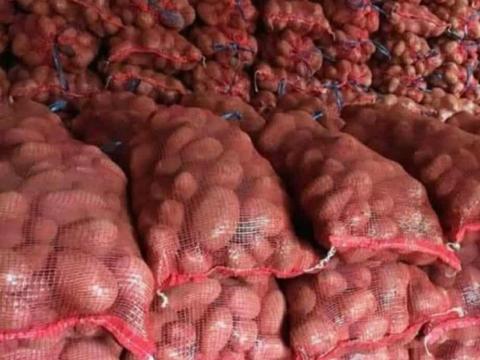 Eladó friss burgonya – Desiree és Balatoni rózsa Eladó friss burgonya – Desiree és Balatoni rózsa