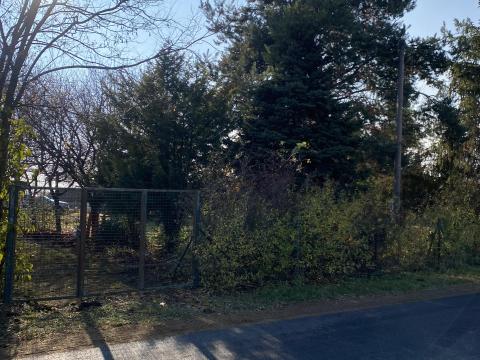 Zártkert Tápiószőlős