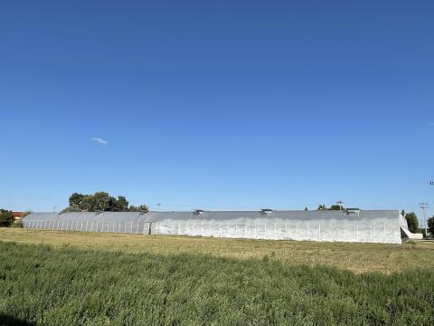 Eladó fóliaház Pest megyében, 5712 nm, teljes felszereléssel