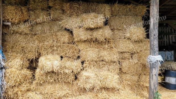 Jó minőségű búza szalma eladó