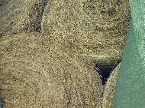 Széna bála eladó – jó minőségű Széna bála eladó – jó minőségű