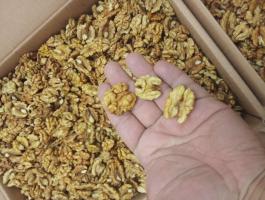 Eladó idei dióbél 10 kg-tól