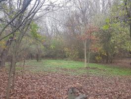 Balatonszabadi közigazgatási területén 5 Ha eladó területet keresek