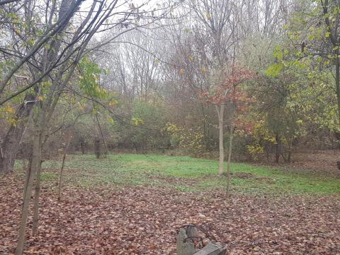 Balatonszabadi közigazgatási területén 5 Ha eladó területet keresek Balatonszabadi közigazgatási területén 5 Ha eladó területet keresek