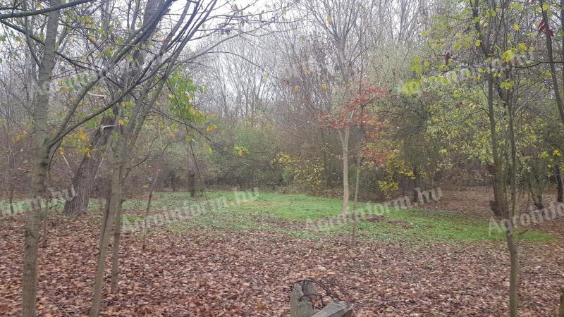 Balatonszabadi közigazgatási területén 5 Ha eladó területet keresek