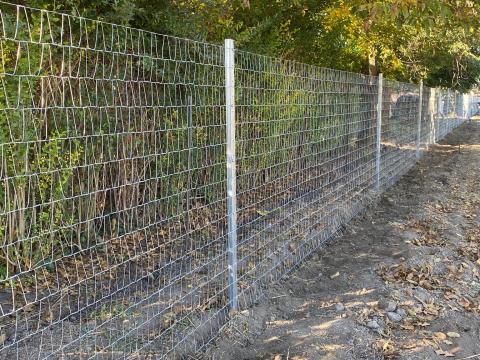 Vadkerítés drótháló TRAPÉZ DRÓTHÁLÓ kizárólagos Gyártótól és Forgalmazótól vadháló