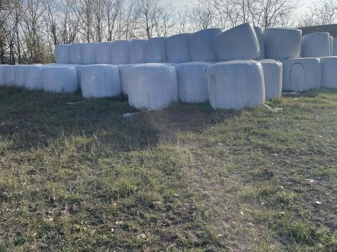 Eladó csomagolt silóbála