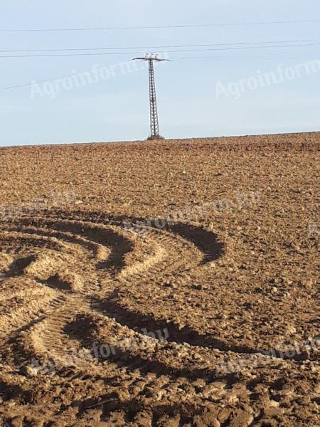 Eladó termőföld Somogy megye északi részén – 9 hektár, fejlesztési lehetőséggel