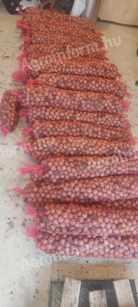 Héjas dió eladó – Milotai és Alsószentivániiváni, 200 kg, 2025-ös betakarítás