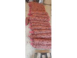 Héjas dió eladó – Milotai és Alsószentivániiváni, 200 kg, 2025-ös betakarítás