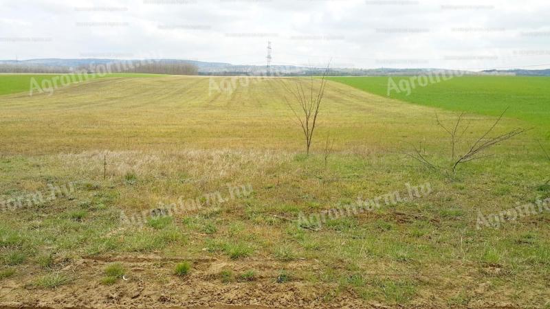 Mogyoród – GIP3 terület ipari befektetésre eladó