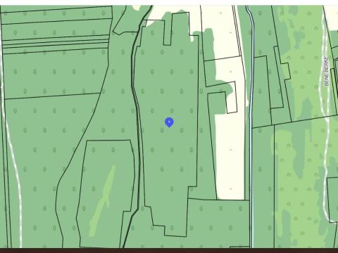 Nemesdédi erdőrész eladó Nemesdédi erdőrész eladó