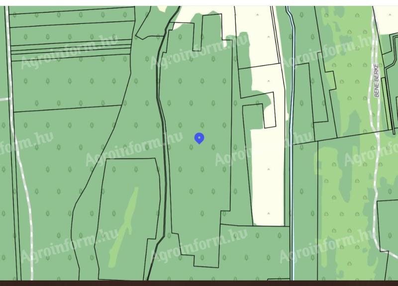 Nemesdédi erdőrész eladó