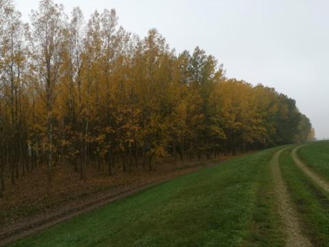 Gáborján külterület Gáborján külterület