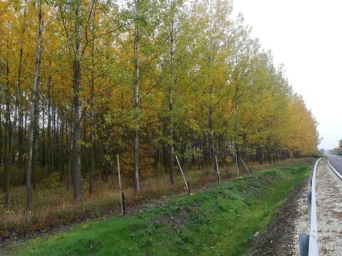 Nagykereki külterület Nagykereki külterület