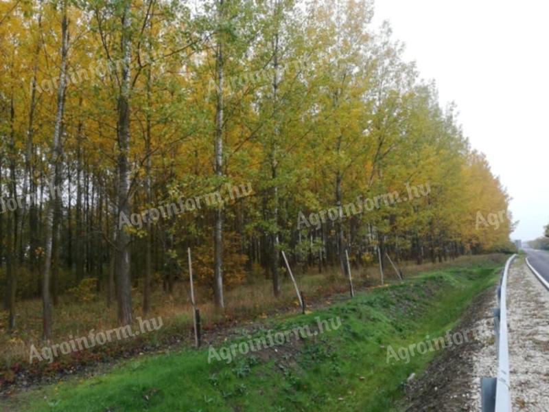 Nagykereki külterület