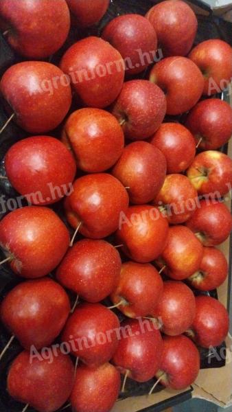 Friss lengyel alma nagykereskedelme