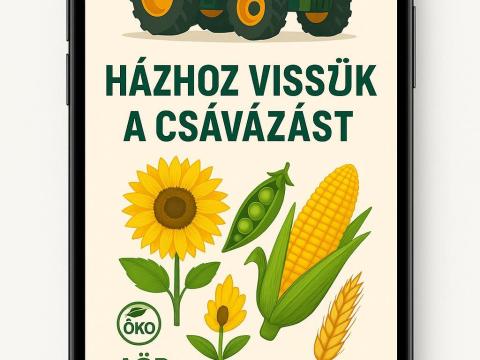 Mobil csávázás napraforgó, kukorica, borsó és más tavaszi vetésű növények számára